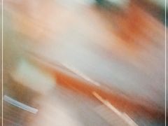 -川味轩火锅(仁和路店)