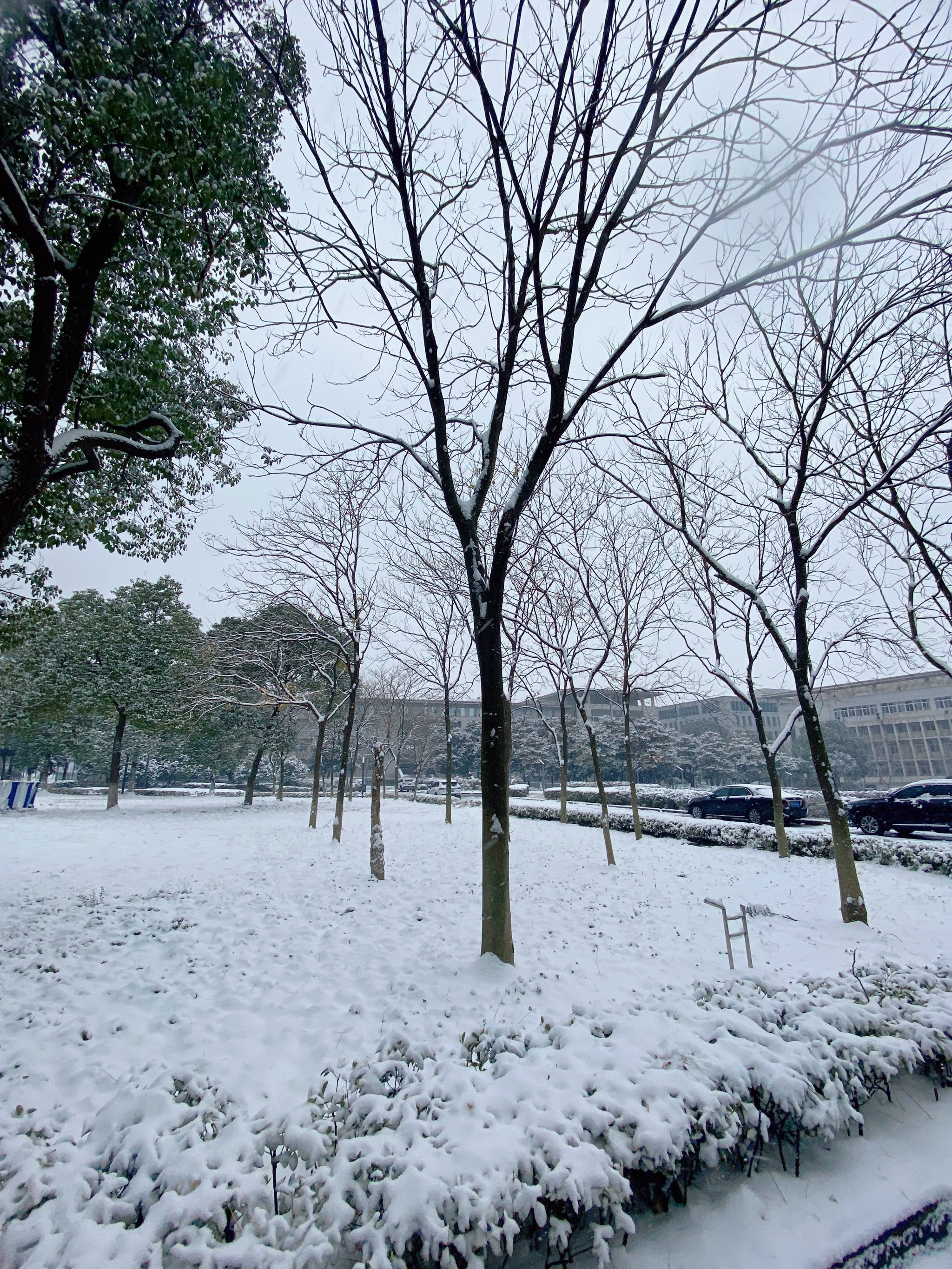 南京下雪天图片图片