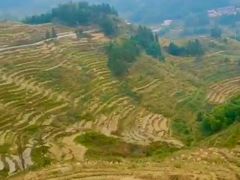 -紫鹊界梯田景区