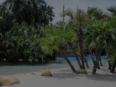 -欢乐海岸椰林沙滩-2025湾区超级灯会