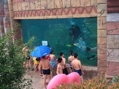 iphone_upload_pic-上海玛雅海滩水公园