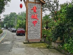 -青城甲(青城山店)