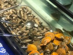 -海吃海喝海鲜烤肉炭火主题自助餐(朝阳店)