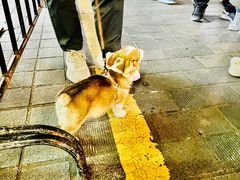 -海口骑楼小吃街