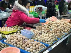 -陇南批发市场