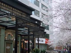 -玛格萝妮比萨屋(四平店)