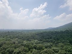 -灵谷景区