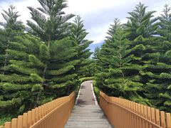 -迪茵湖田家舍生态农场