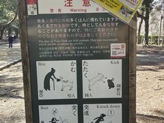 -奈良公园