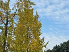 -华凌山庄·隐湖栖