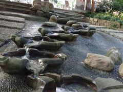 -成都市活水公园