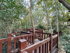 -上海佘山国家森林公园天马山园