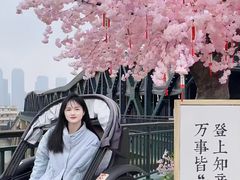 -武汉知音号
