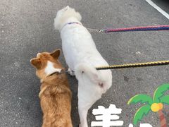 -悦宠凯宝动物医院·牙科·皮肤科(朝阳北路店)