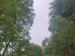 -婺源月亮湾