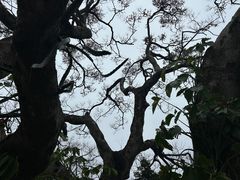 -洞背山庄(洞背院区式管理小区店)