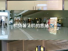 -青岛胶东国际机场