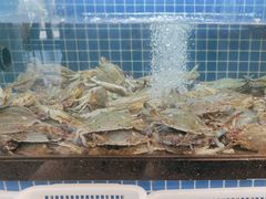 -碧海银沙海鲜餐厅(恒大海上威尼斯店)