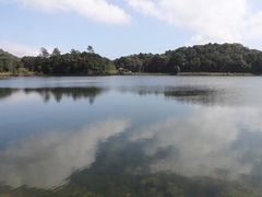 -海南热带雨林国家公园吊罗山景区