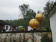 -溱湖国家湿地公园