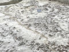 -金沙遗址博物馆