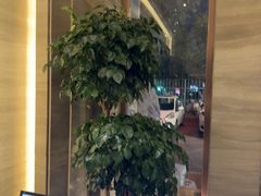 -阿波罗温泉会所(拓东路店)