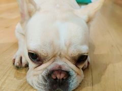 -Meowの猫咖(万家丽店)