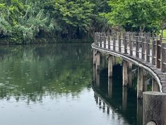 -眉山湿地公园(东坡区)