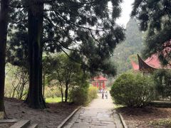 -庐山风景区花径公园