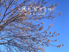 -滨河世纪广场公园