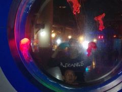 -太平洋海底世界