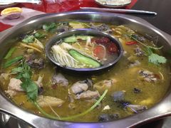 -黑河坝泡姜鸡贡椒鱼(贾旗路店)