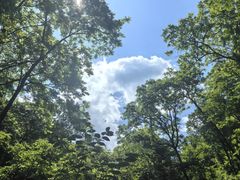 -天女山森林公园