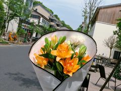 -湘湖金融镇