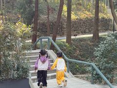 -东明山森林公园