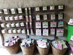-大象粑粑造纸公园