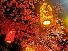 -宋徽厨·安徽菜(绿地店)