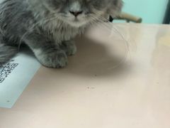 -嘉馨宠物医院·CT影像转诊·心脏科·犬猫全科诊疗中心(下沙大学城院区)