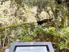 -茅兰沟国家森林公园