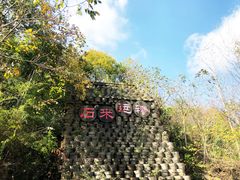 -千年银杏谷文化旅游区