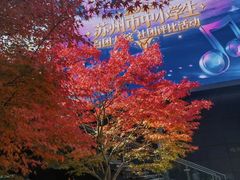 -白塘生态植物园