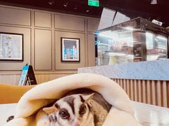 -COSTA COFFEE(斯普瑞斯奥特莱斯店)