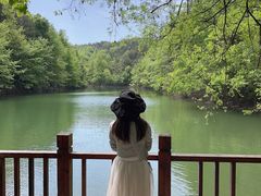-青龙山国家森林公园
