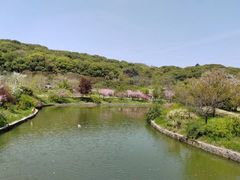 -苏州上方山国家森林公园