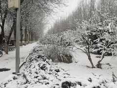 -首都师范大学(良乡校区)