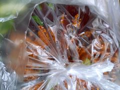 口水兔-李老五口水鸡(万寿路店)