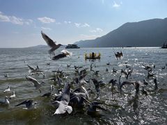 -滇池海埂公园