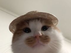 -水丽汇休闲浴馆(香坊店)