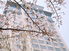 -南京航空航天大学(将军路校区)