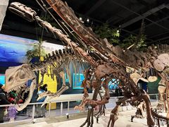 -国家自然博物馆